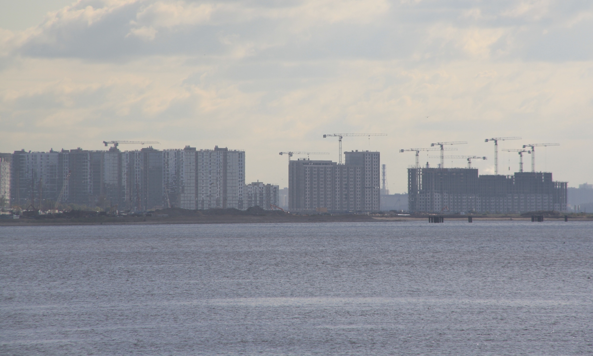 Территорию института Вавилова на Васильевском острове могут застроить  жильем