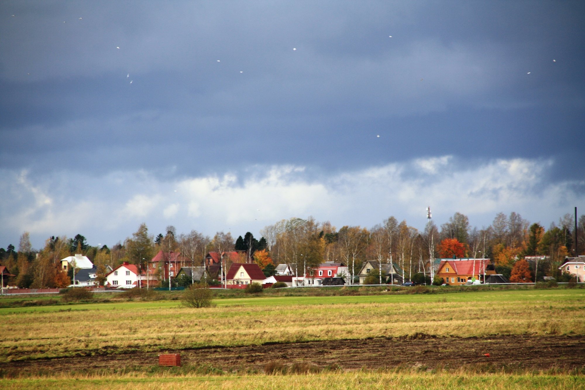 Комплексное развитие ИЖС обсудят в Москве 29 марта