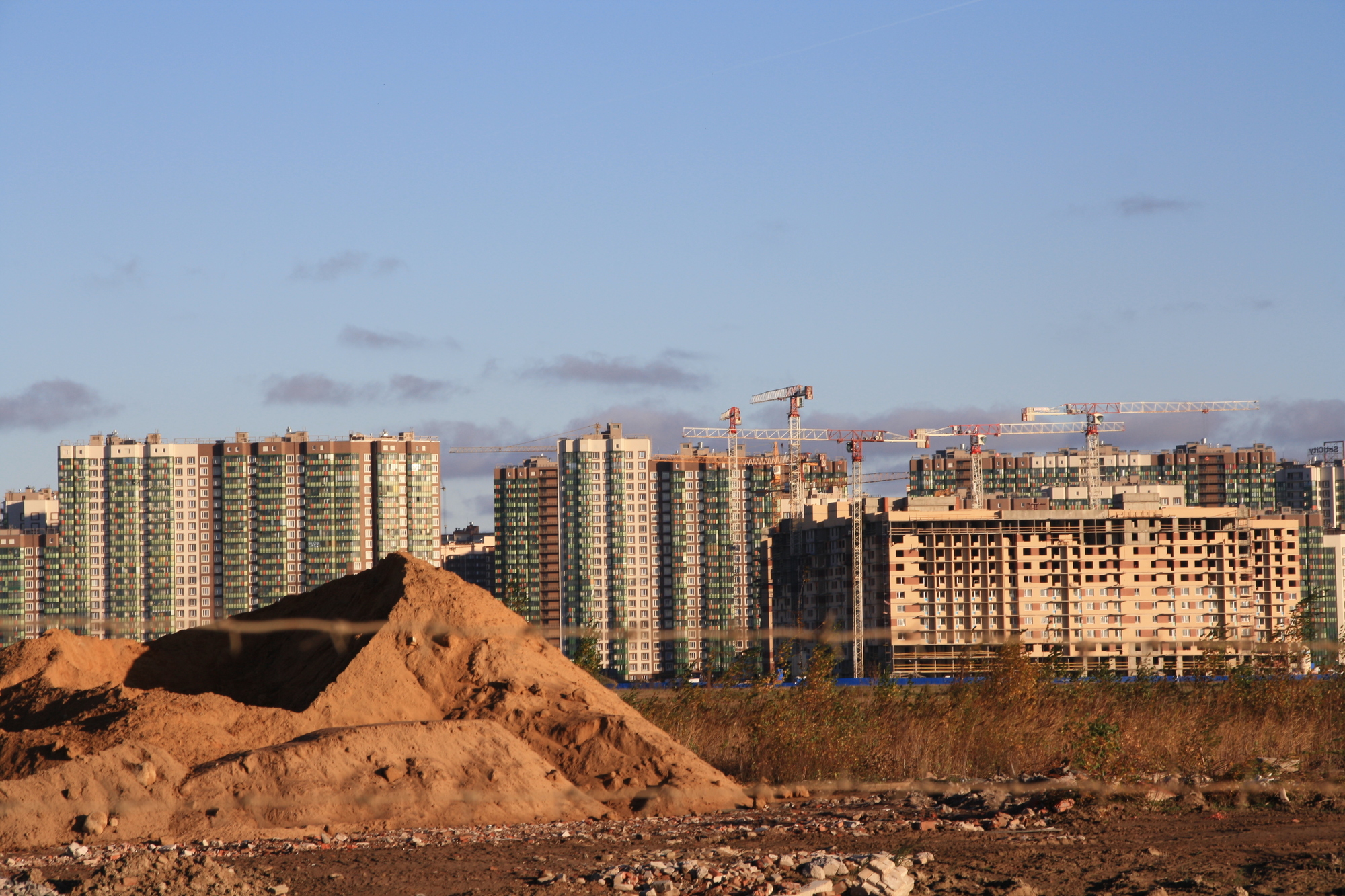 На юге Петербурга вновь выставили на торги землю под строительство