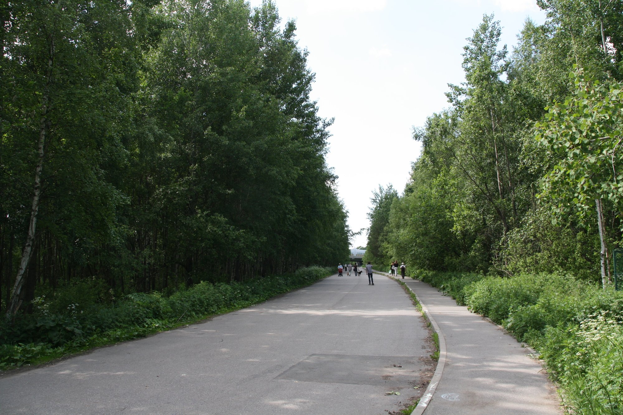 Площадь охраняемых городом парков увеличили на 300 га