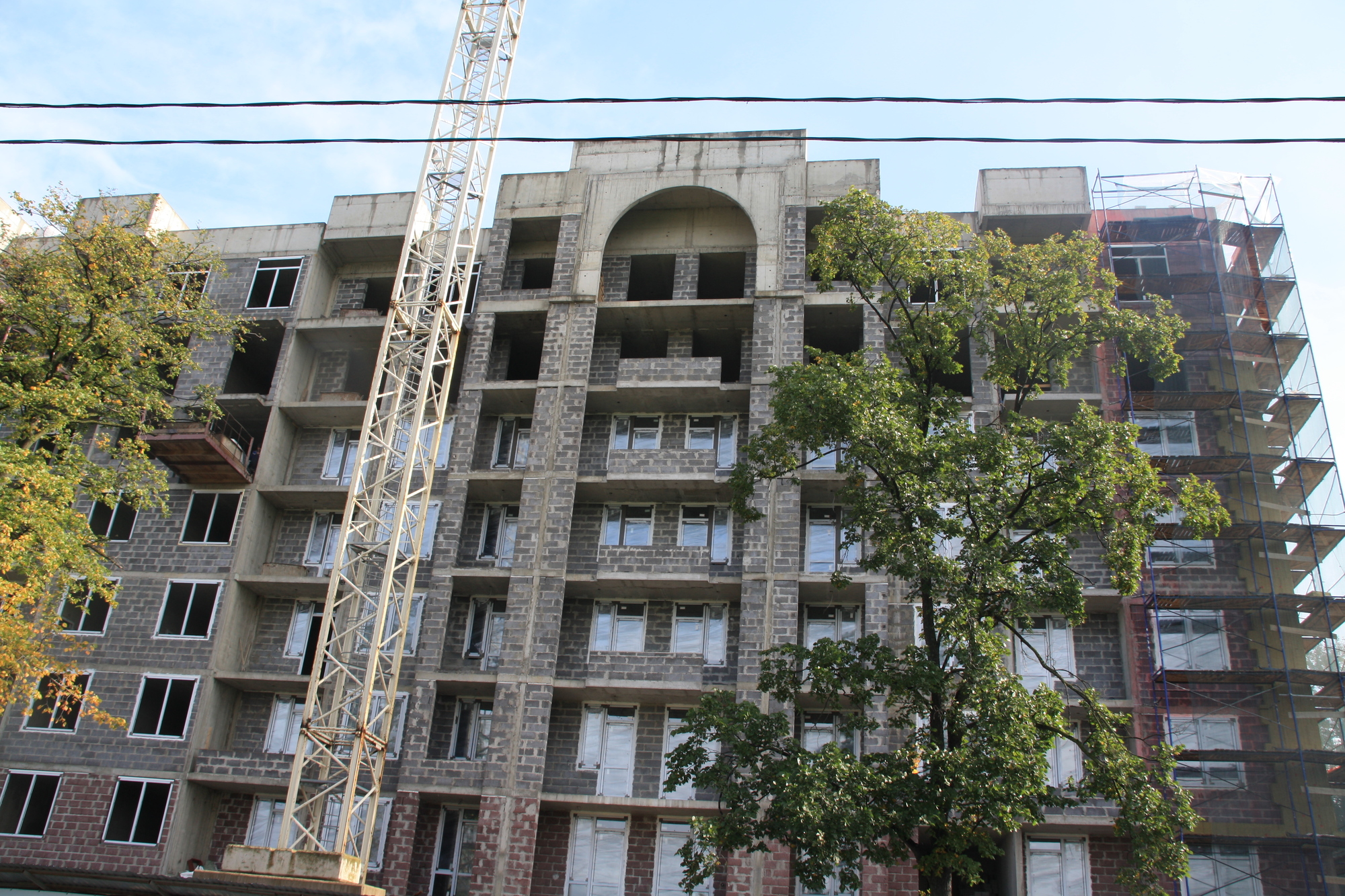 Доля бизнес-класса в Петербурге выросла до 22%