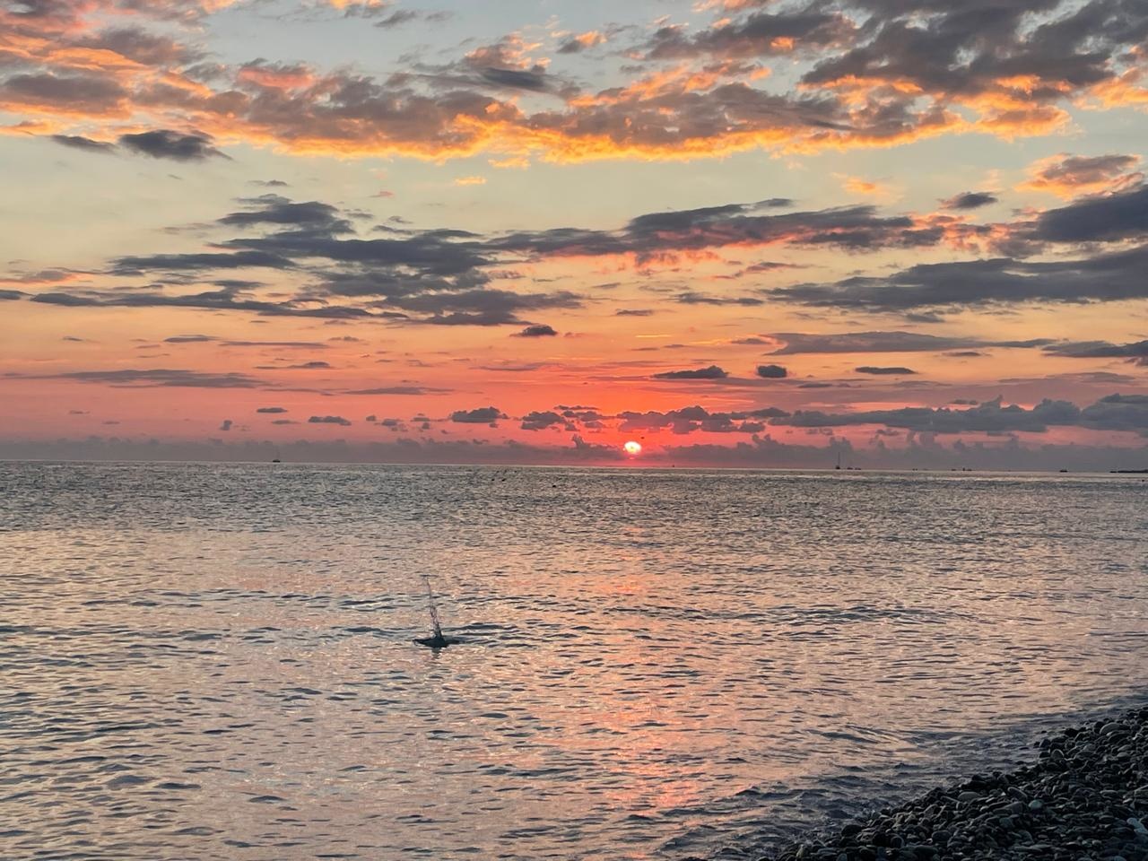 Стоимость часового посещения термального комплекса в России возросла на 22% за год