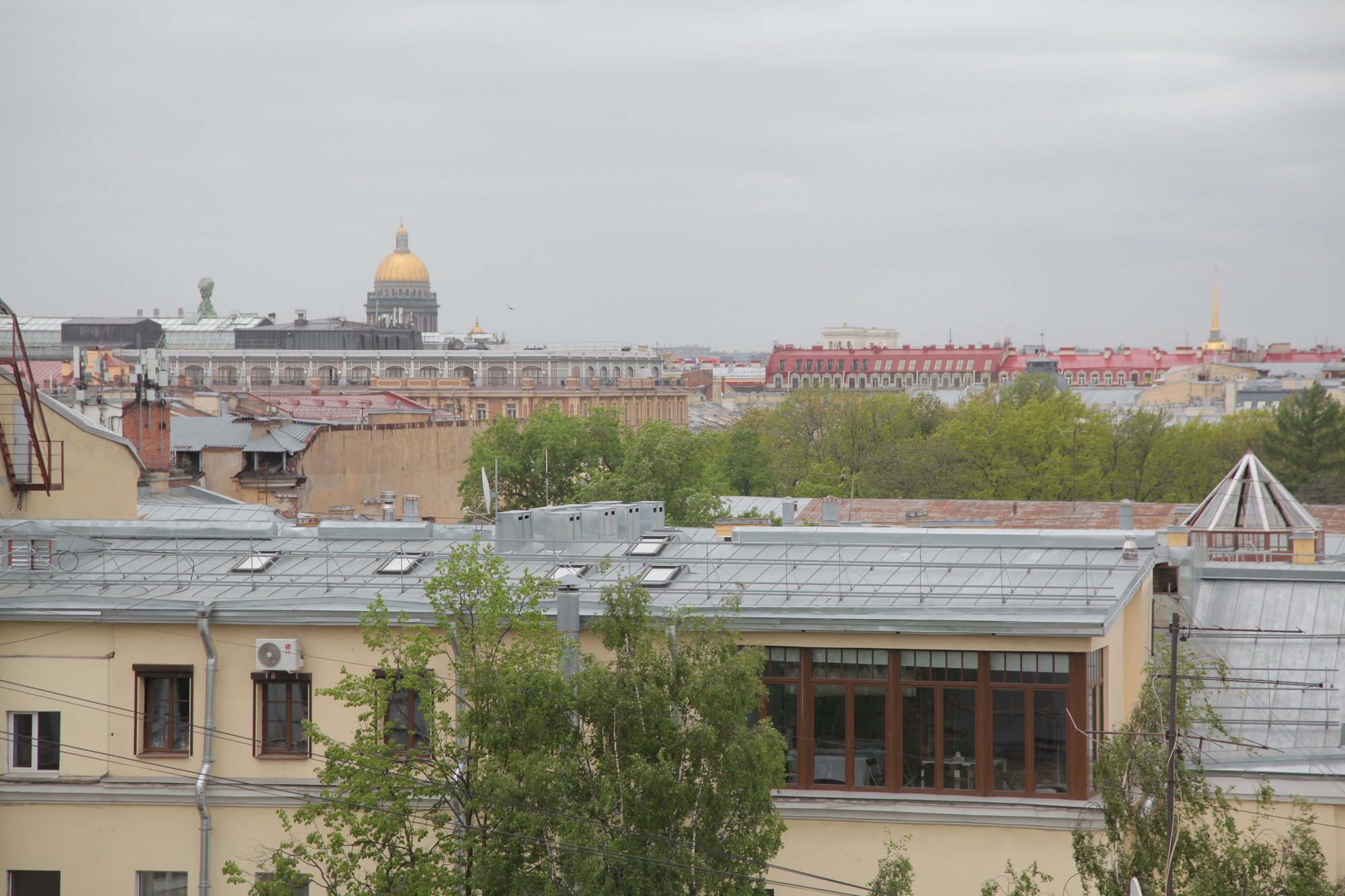 Треть Петербурга озеленят